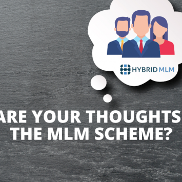 What are your thoughts about the MLM scheme?
