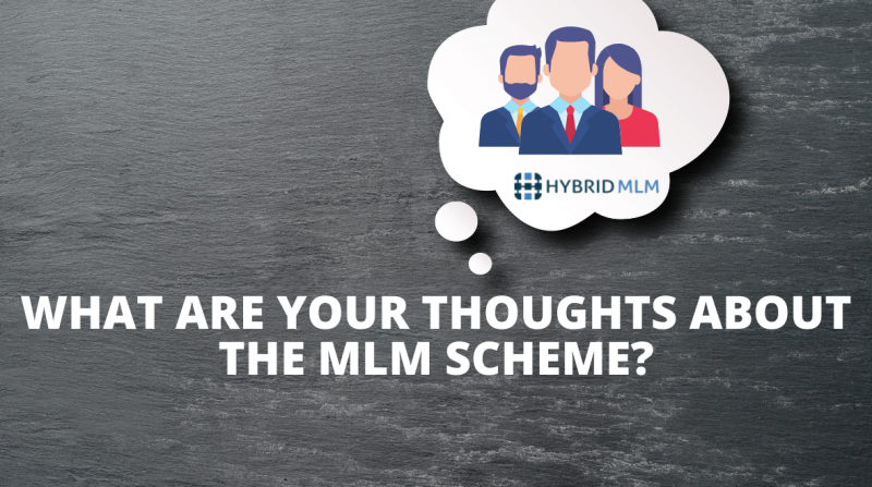 What are your thoughts about the MLM scheme? - Hybrid MLM Software